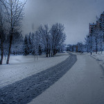 Calgary in the Snow