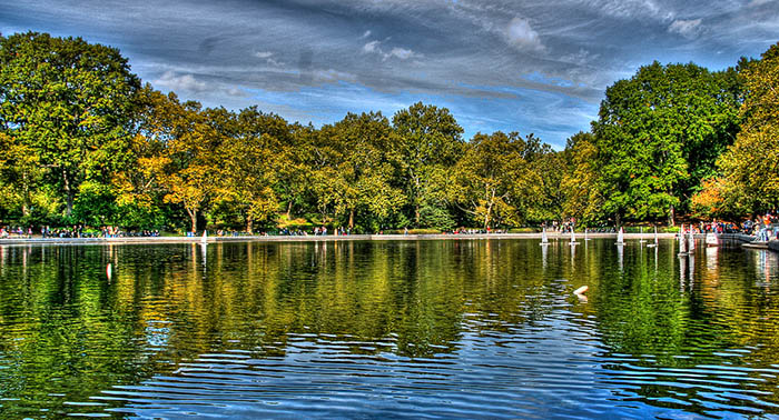 Central Park Central Park