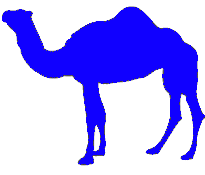 Picture of a one-hump camel